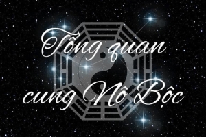Cung Nô Bộc là gì? Giải mã ý nghĩa và cách cải thiện vận mệnh cực hay