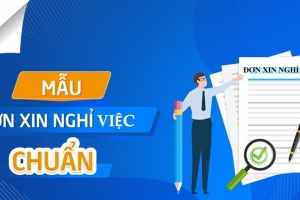 (mẫu) đơn xin nghỉ việc
