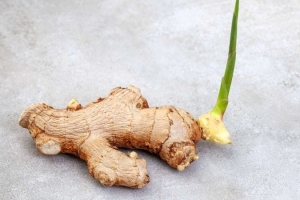 Gừng mọc mầm có ăn được không? Cách bảo quản đúng