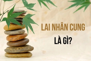 Lai nhân cung là gì? Ý nghĩa của lai nhân cung trong lá số tử vi