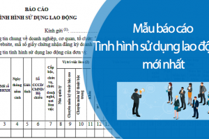 Hướng dẫn chi tiết báo cáo tình hình sử dụng lao động năm 2024