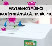 Cách khắc phục máy lạnh, điều hòa có mùi ẩm mốc hiệu quả | Điện Lạnh Phố Xanh