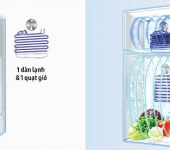 Cấu tạo và nguyên lý làm lạnh của tủ lạnh chi tiết