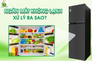 Tủ lạnh ngăn mát không lạnh xử lý như thế nào?
