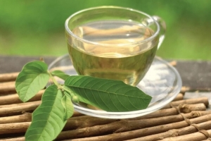 Uống nước lá ổi tươi có tác dụng gì cho sức khỏe?