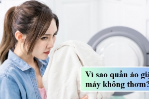 Vì sao quần áo giặt máy không thơm? Nguyên nhân & Cách khắc phục hiệu quả tại nhà